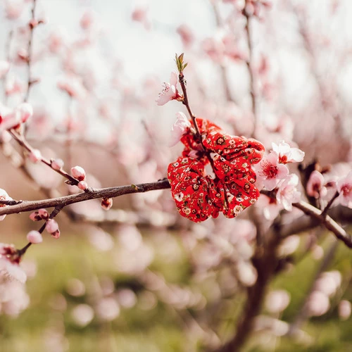 Céleste - ALOUETTE Rouge